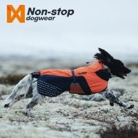 How to keep your dog warm & comfortable in winter