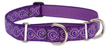 Patterned Martingale Collar (Lupine)