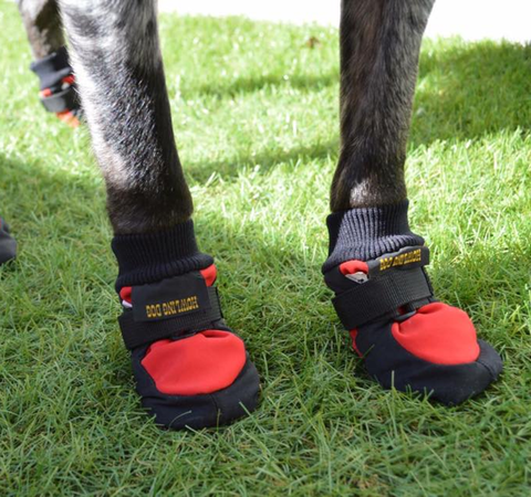 Dog Boots - Protector Set of 4 (Howling Dog Alaska)