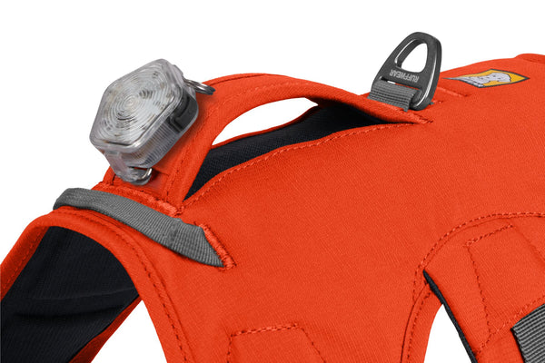 Web Master Harness Ruffwear SnowPaw Store