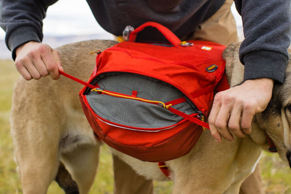 Ruffwear palisades sale dog backpack