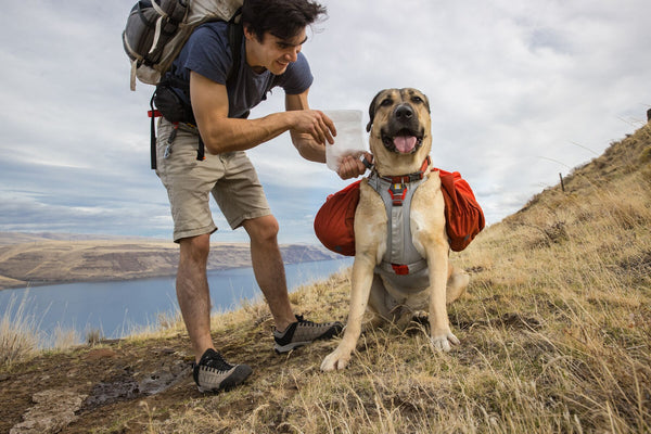 Dog hiking best sale bag