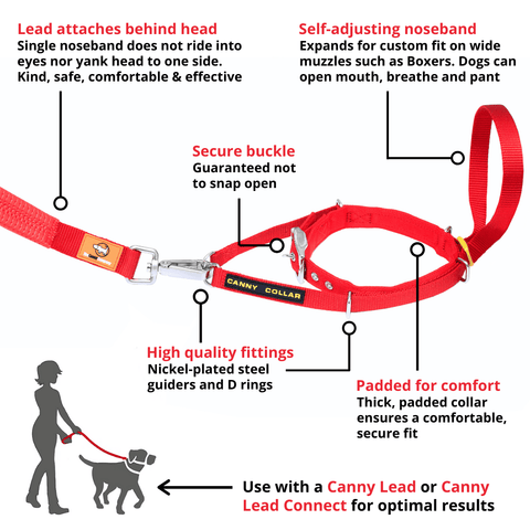 Canny Collar (Canny Company)