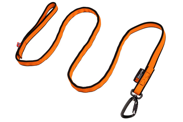 Stretchy leash shop