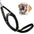 Canny Collar (Canny Company) - SnowPaw Store - Canny Company - Dog Collars