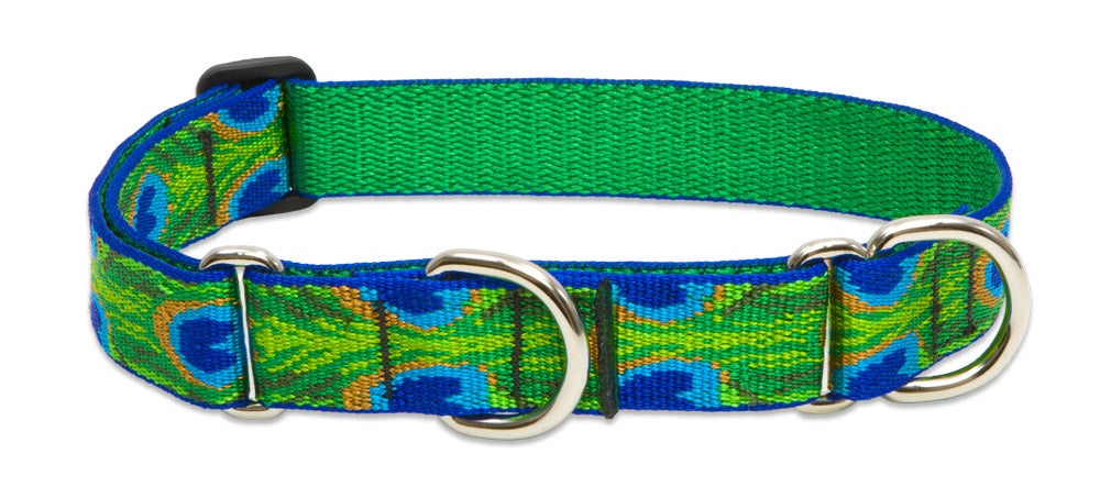 Patterned Combo Dog Collar - Tail Feathers