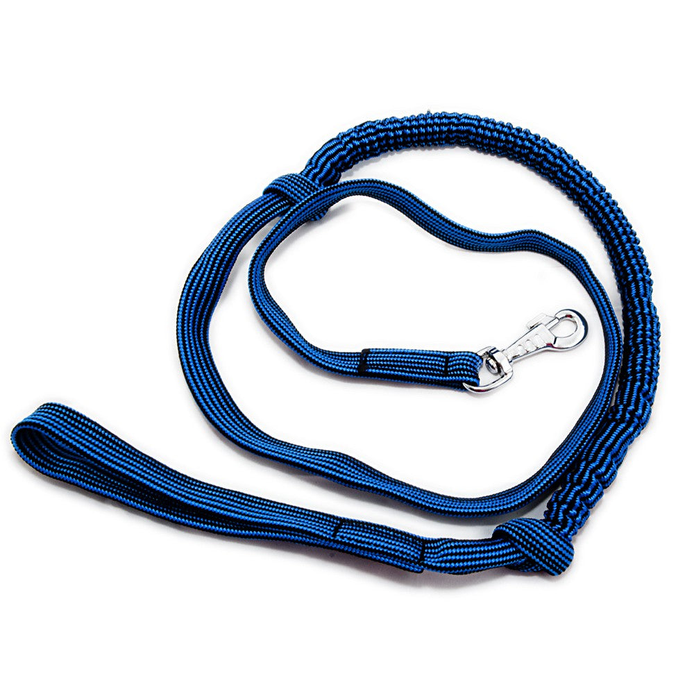 Flat Dog Lead with Bungee - Blue/Black