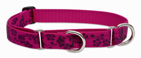 Lupine best sale combo collar