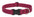 Lupine ECO Collars - SnowPaw Store - Lupine - Dog Collars, Leads, Belts