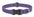 Lupine ECO Collars - SnowPaw Store - Lupine - Dog Collars, Leads, Belts