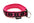 Padded Collar (ManMat) - SnowPaw Store - ManMat - Dog Collars, Leads, Belts
