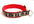 Padded Collar (ManMat) - SnowPaw Store - ManMat - Dog Collars, Leads, Belts