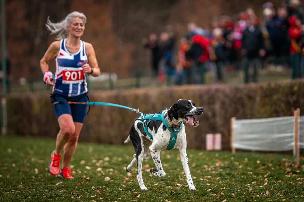 The Perfect Fit- Why harness fitting is essential?