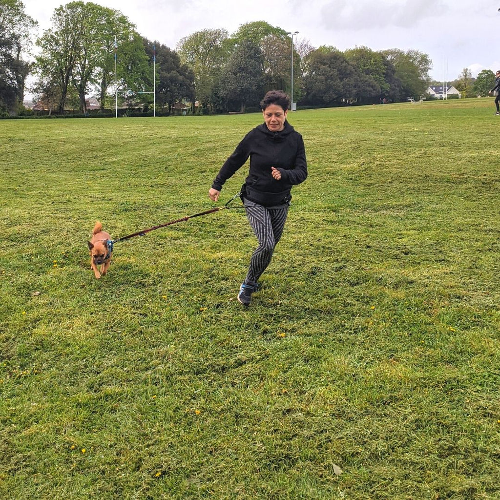Small Dog Canicross – get the most out of twenty minutes of exercise!