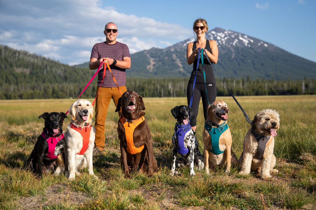 The New Front Range collection from Ruffwear