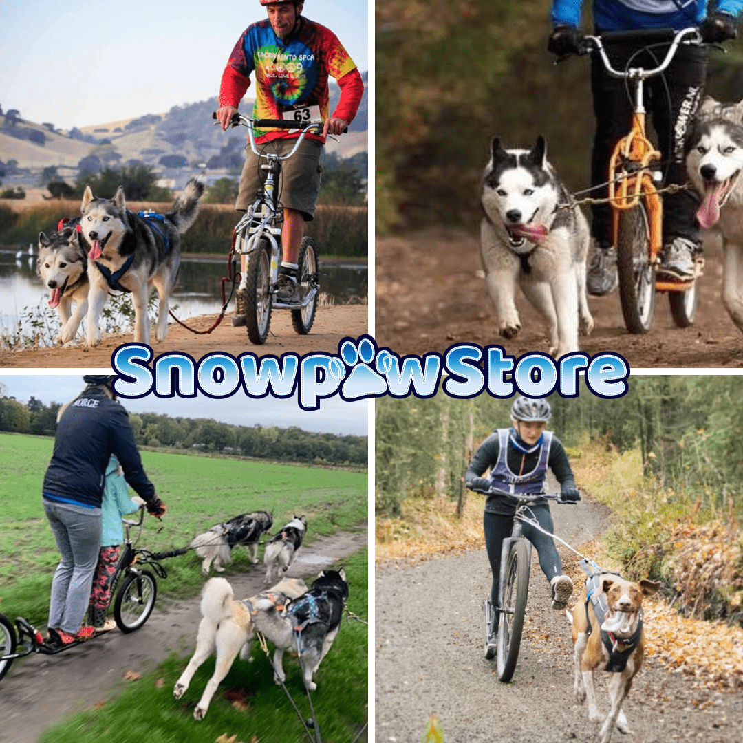 An Introduction to Scooterjoring - SnowPaw Store