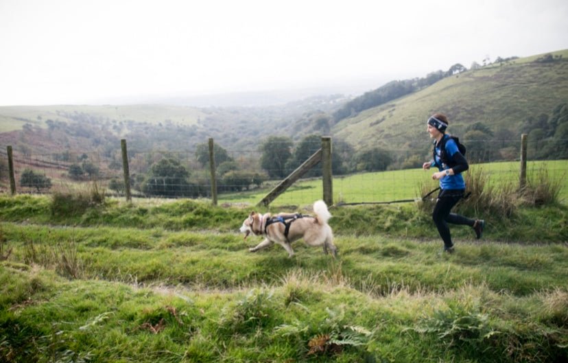 Canicross – where to begin! by C&M Canicross - SnowPaw Store