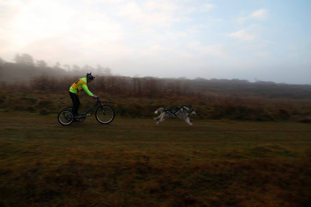 Event Report: AMWA Crossbelts Rally – 17th and 18th December 2016 - SnowPaw Store