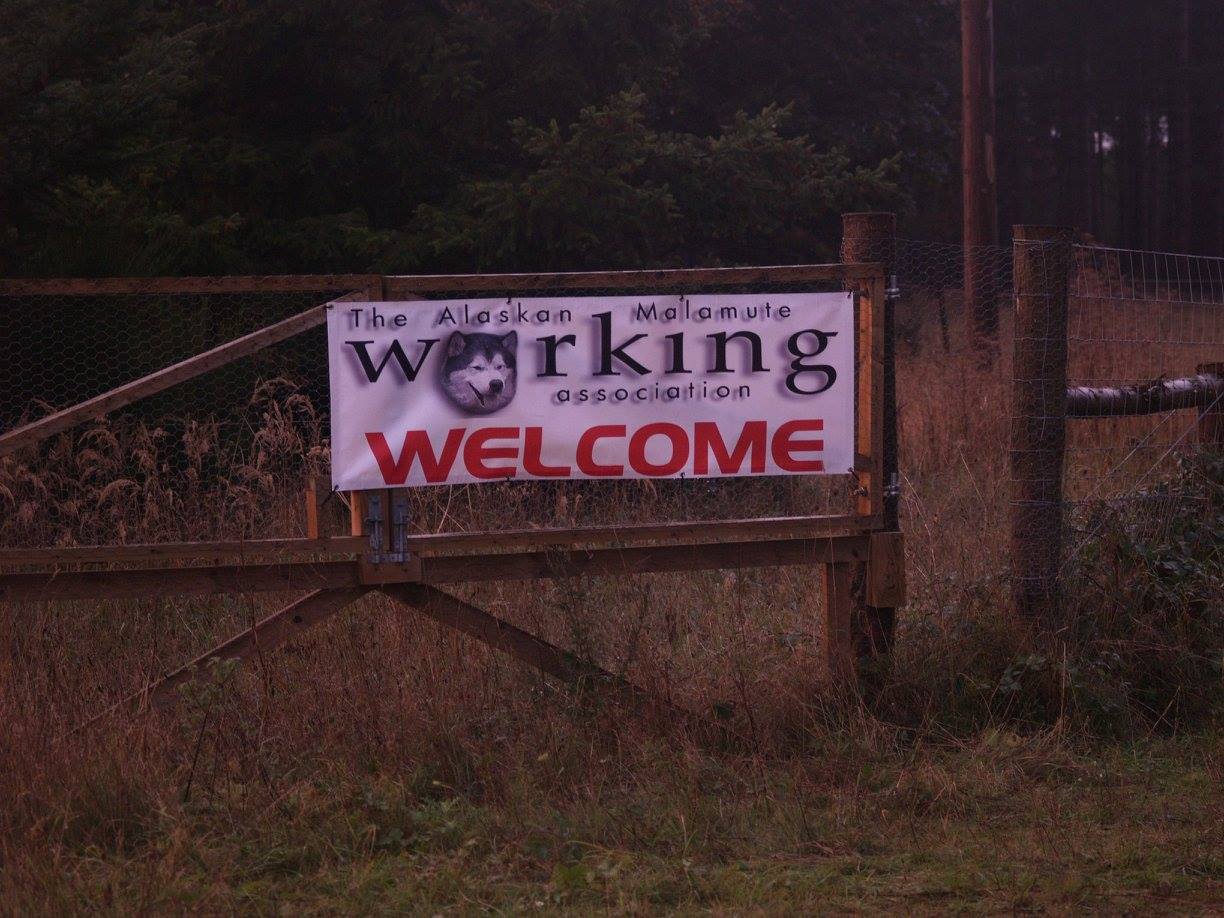 Event Report: AMWA King’s Forest Rally – 15th and 16th October 2016 - SnowPaw Store