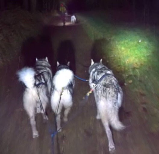 Event Report: AMWA Swinley Night Trek – 19th November 2016 - SnowPaw Store