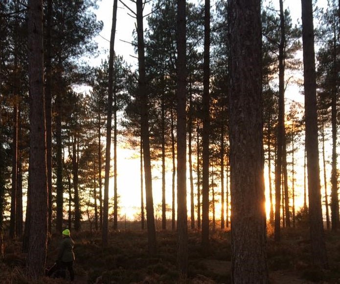 Event Report: BSA Moors Valley – 5th March 2016 - SnowPaw Store