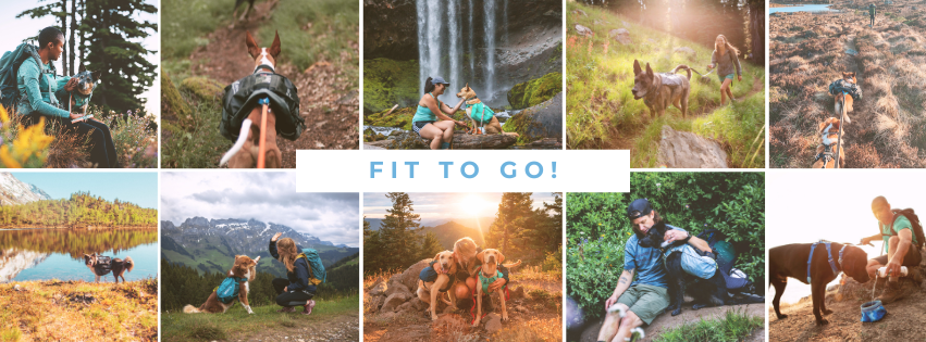 Fit to Go! - Fitting & Packing Tips by Flintsky Malamutes - SnowPaw Store