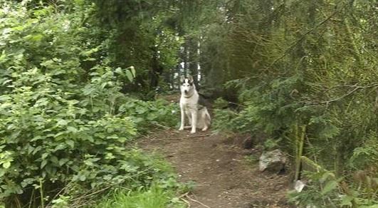 Growing older disgracefully - SnowPaw Store