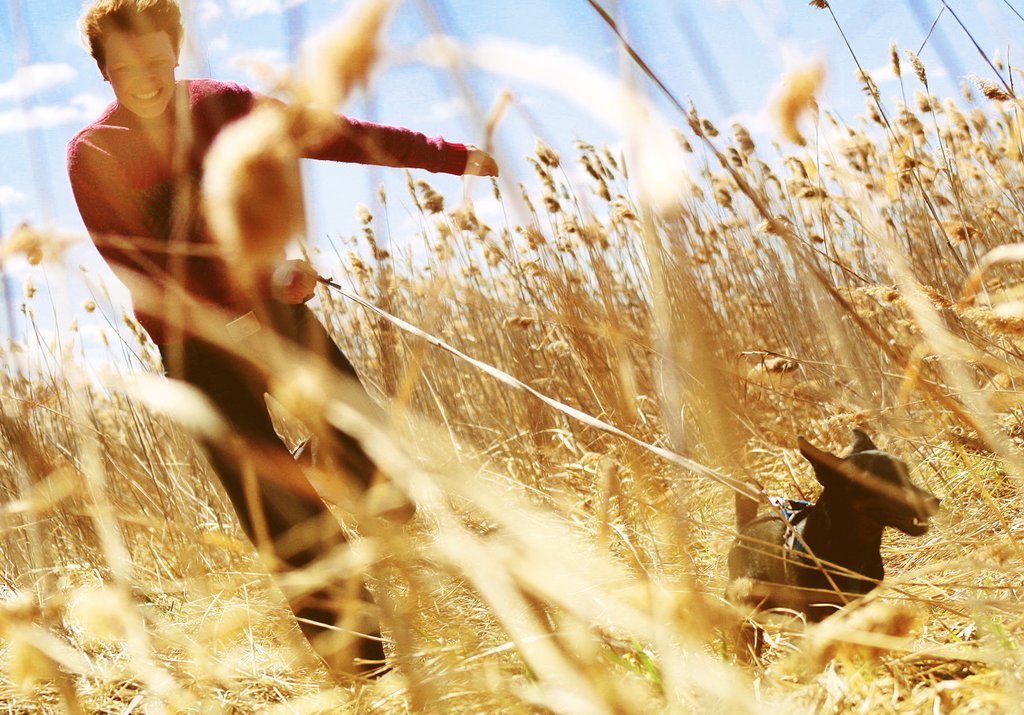 How to Avoid Problems when Increasing Mileage with your Dog - SnowPaw Store