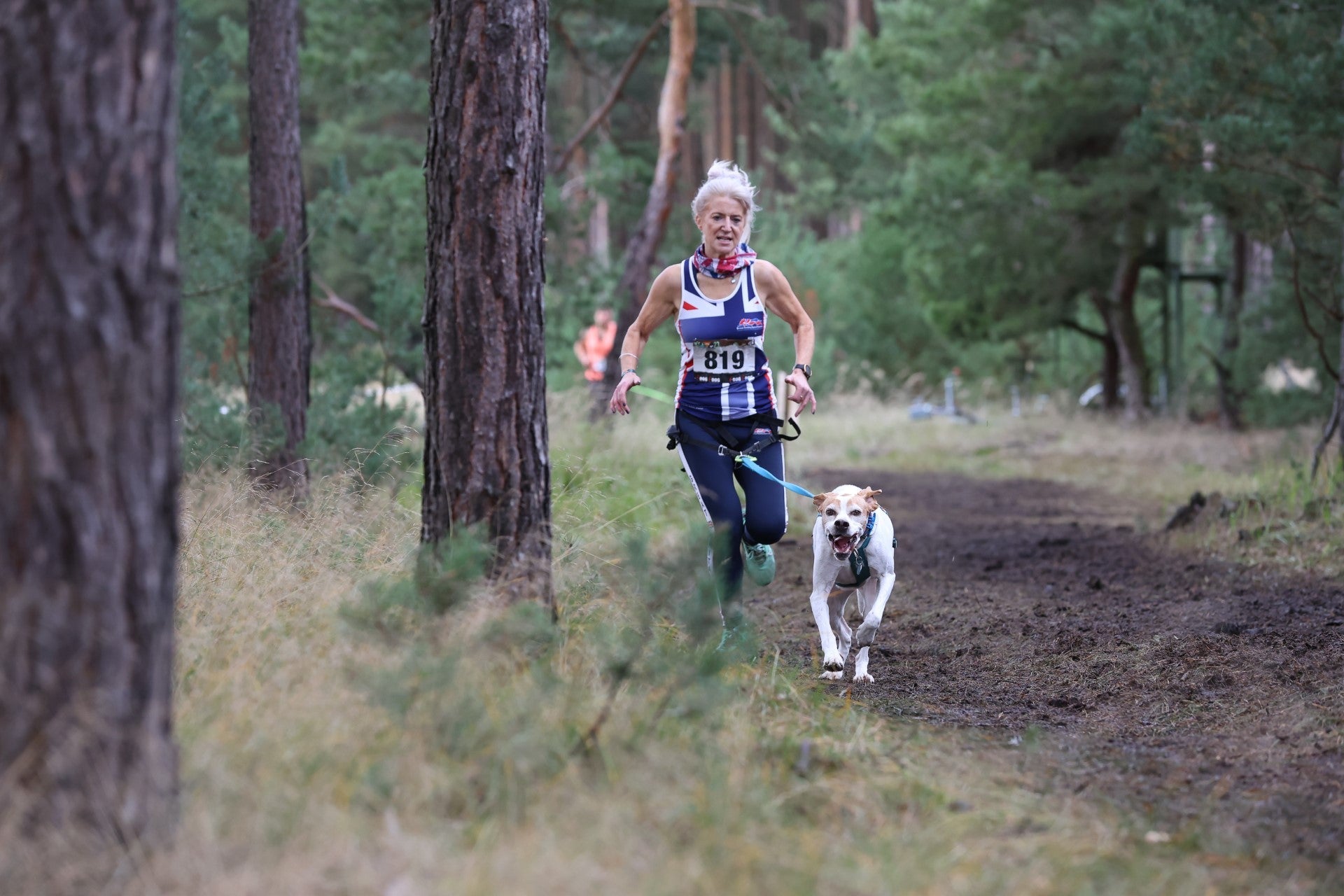 Introducing Team Pointerfaces - SnowPaw Store