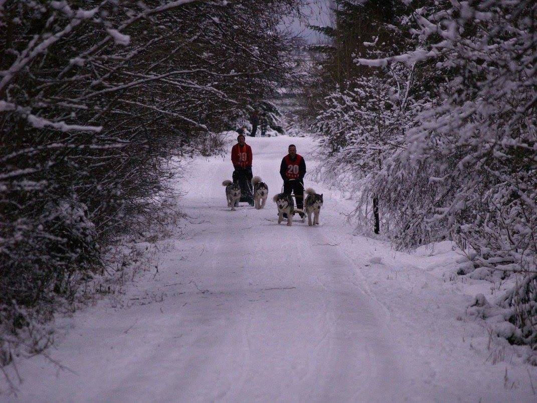 Passing on the trail - SnowPaw Store