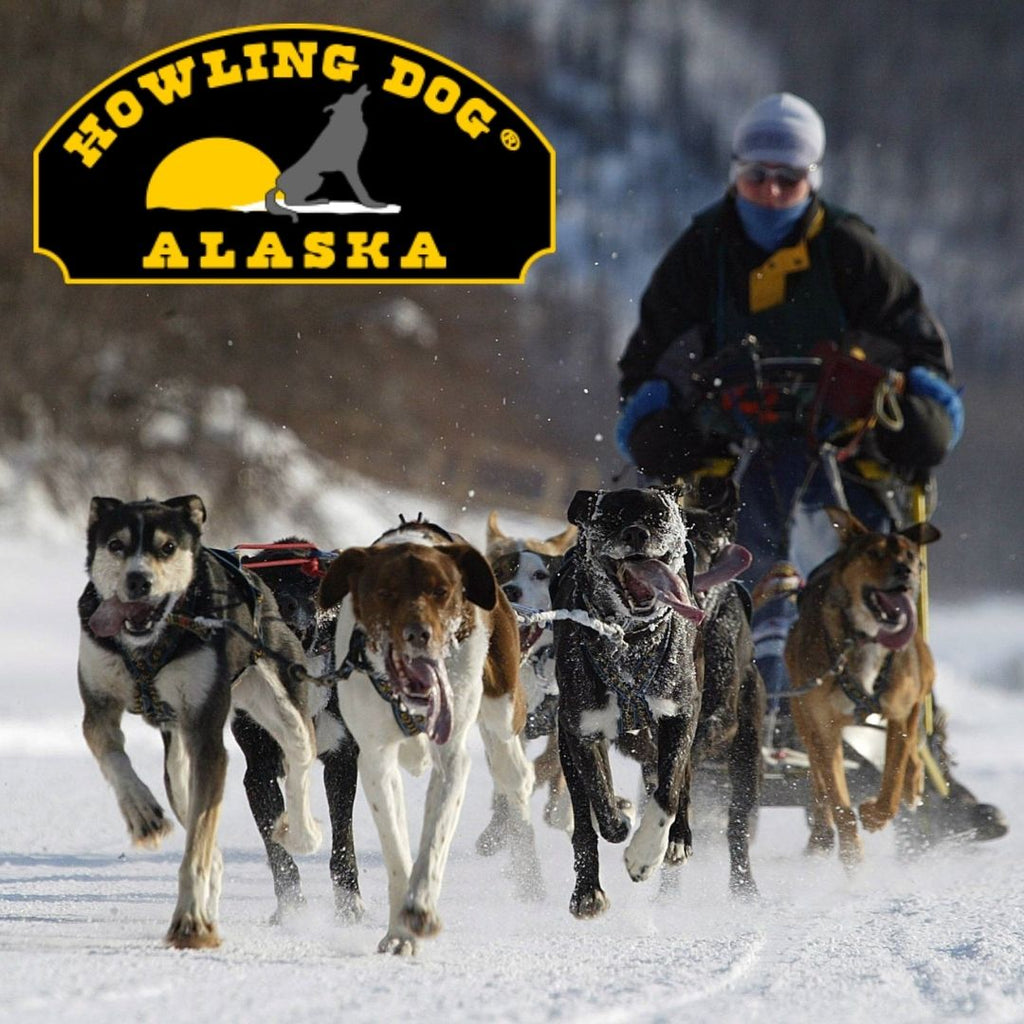 Brand Spotlight - Howling Dog Alaska