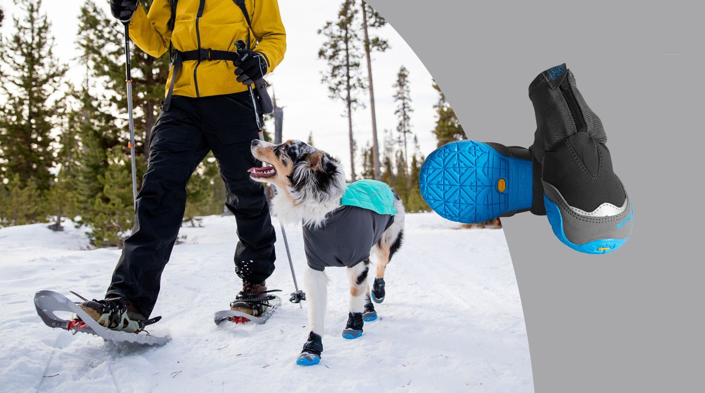 The Importance of Dog Boots - SnowPaw Store