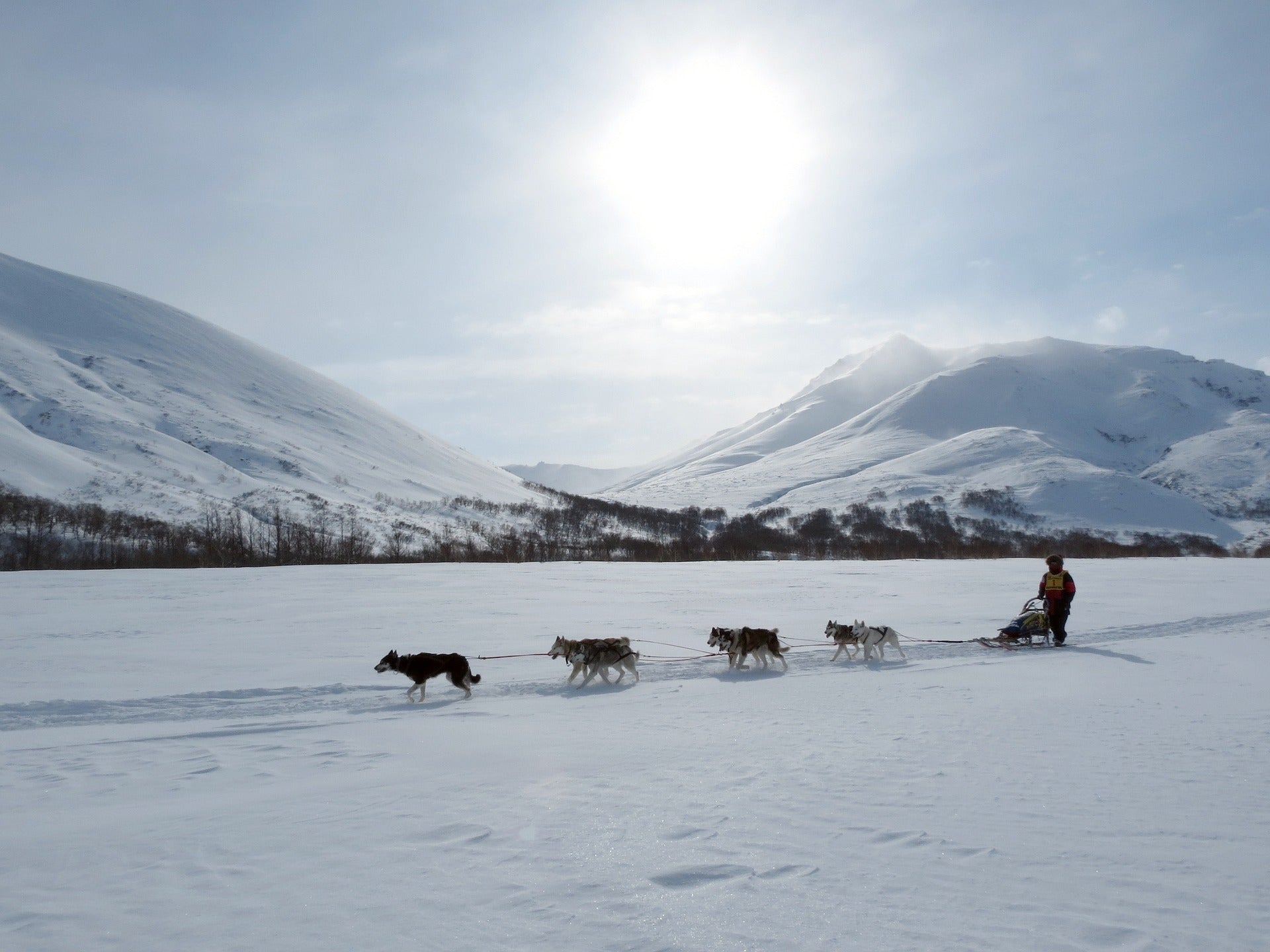 The Last Great Race On Earth - Iditarod 2016 - SnowPaw Store