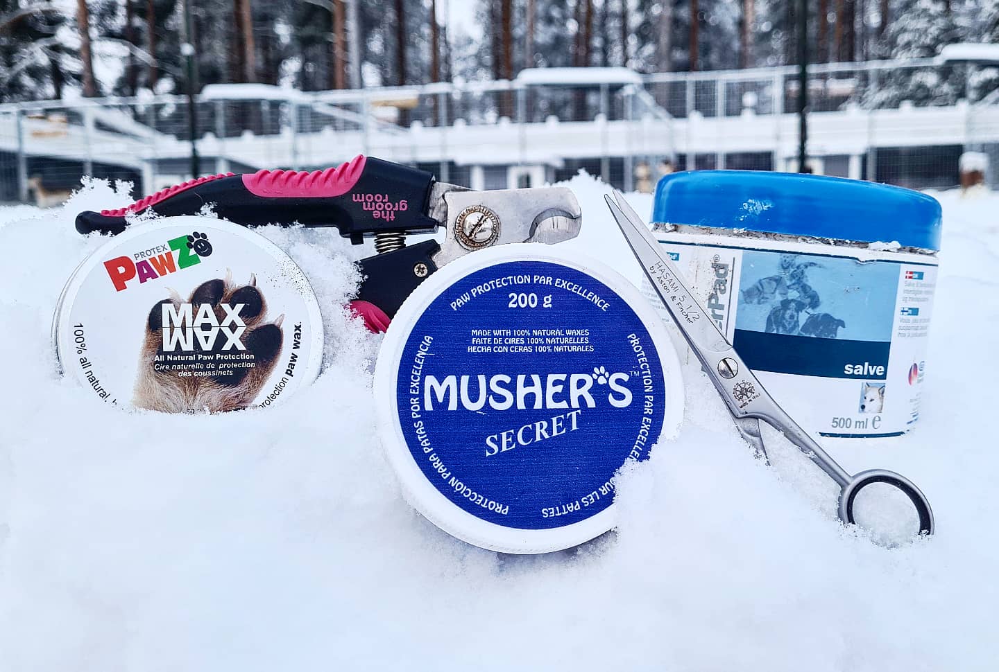 The Paw Care Routine of a Long Distance Sleddog Team - SnowPaw Store