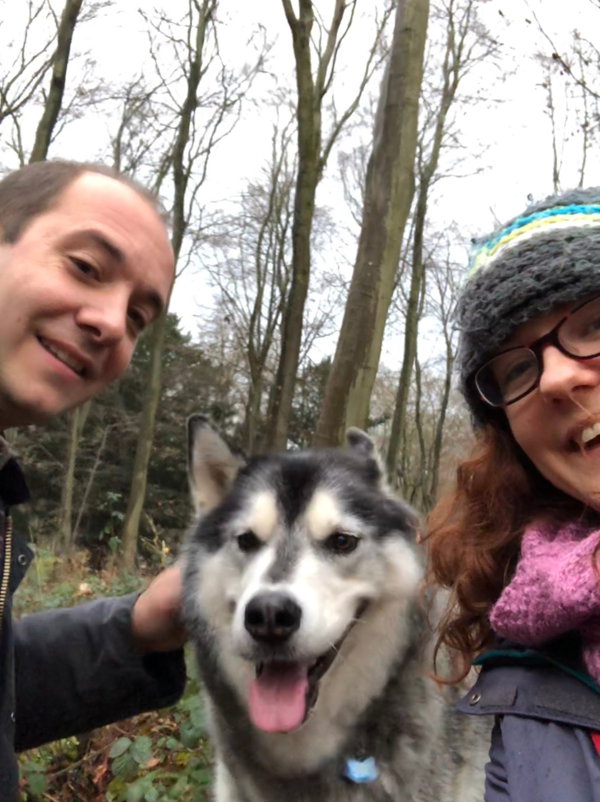 Top 10 Tips for Camping with your Dog - SnowPaw Store