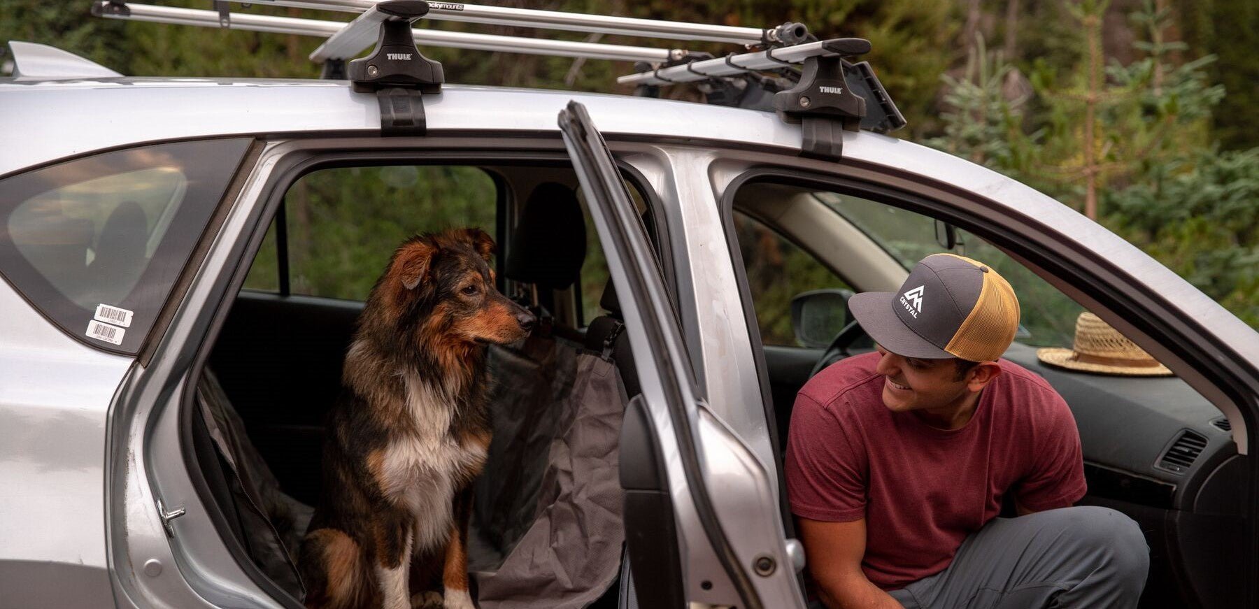 Top Dog-Friendly Places to Visit Across the UK - SnowPaw Store