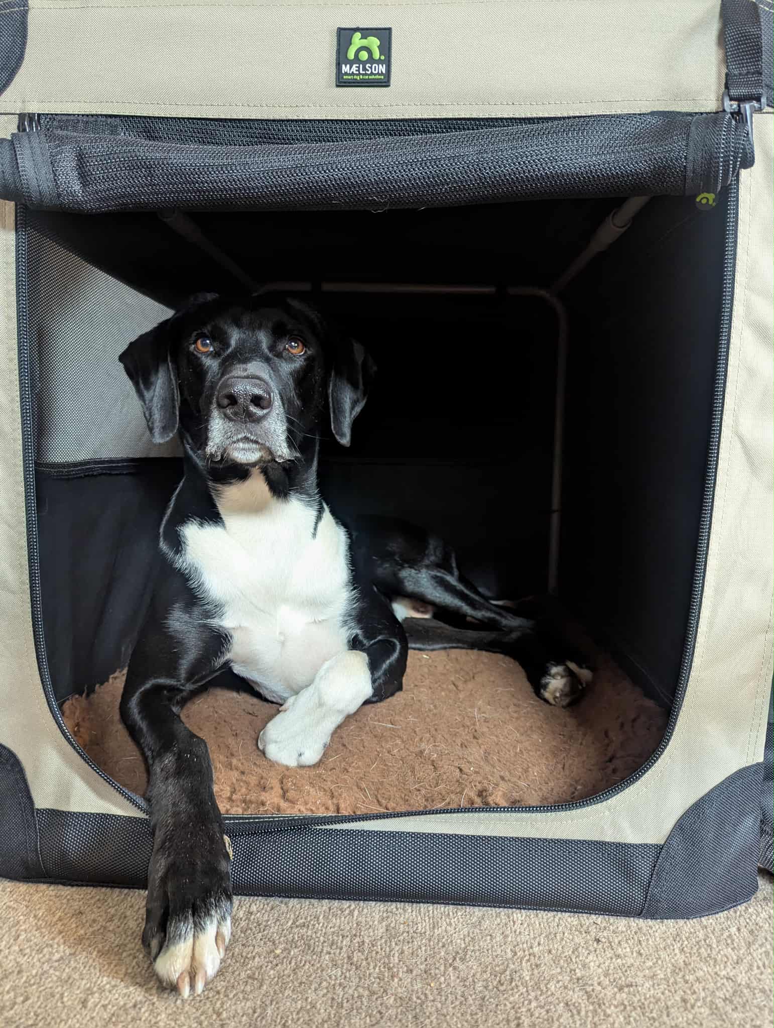 Travel Beds & Crates