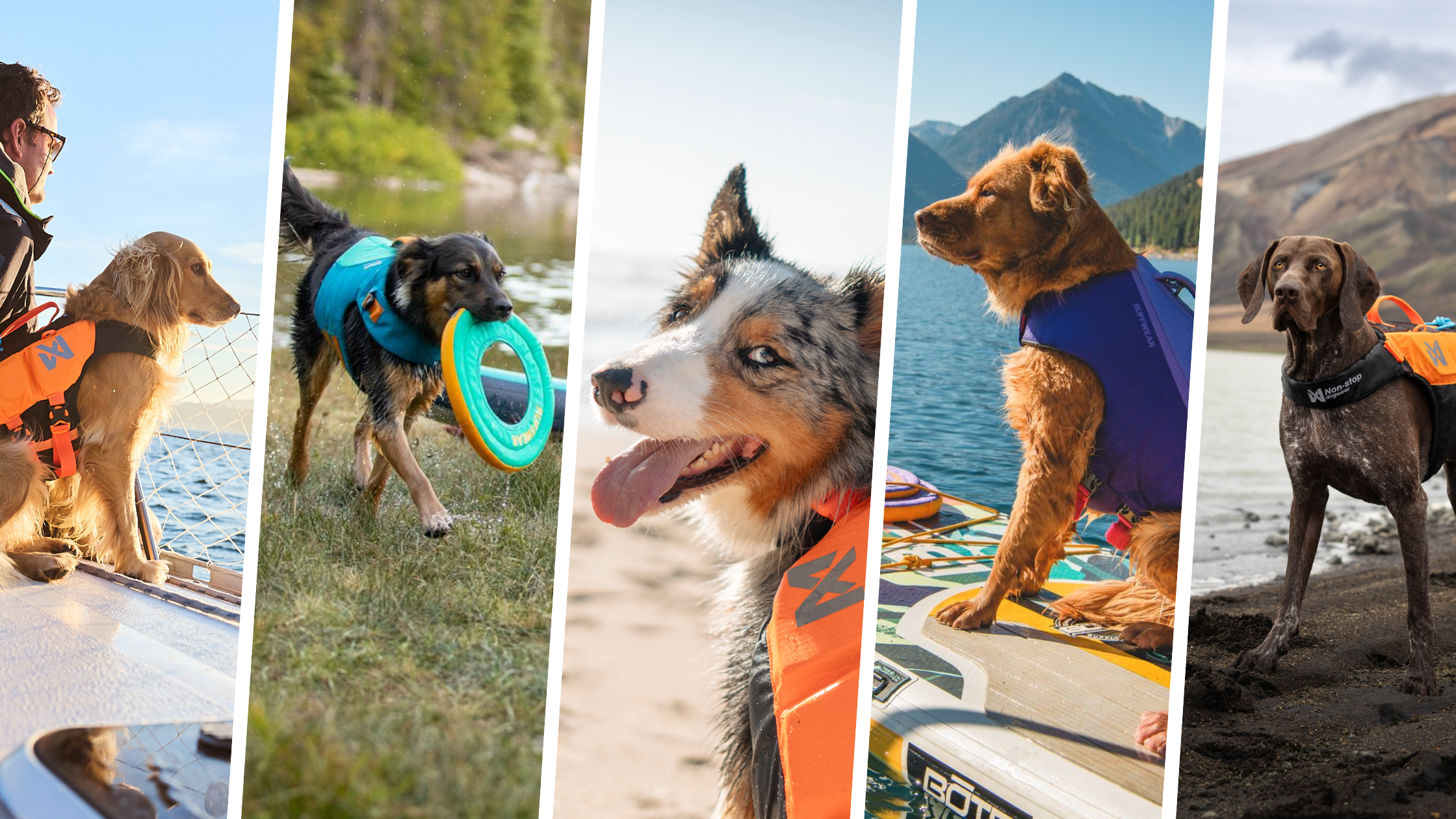 Dog Life Jackets - SnowPaw Store