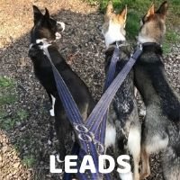 Arctic Wolf Leads - SnowPaw Store