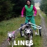 Arctic Wolf Lines - SnowPaw Store