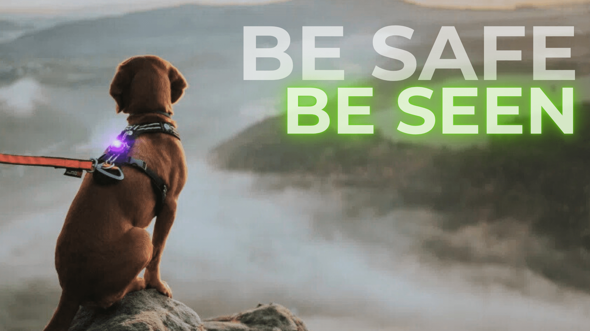 Be Safe be Seen - SnowPaw Store