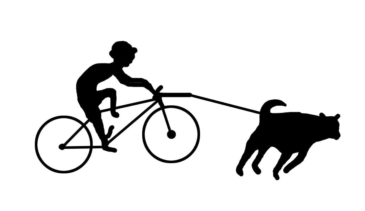 Bikejoring - SnowPaw Store