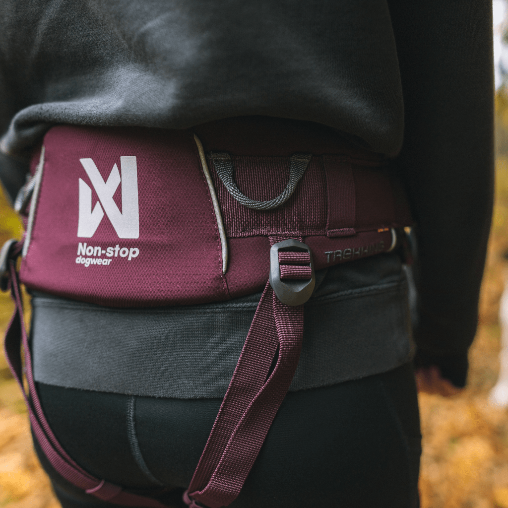 Camping & Hiking - Stash Bags & belts - SnowPaw Store