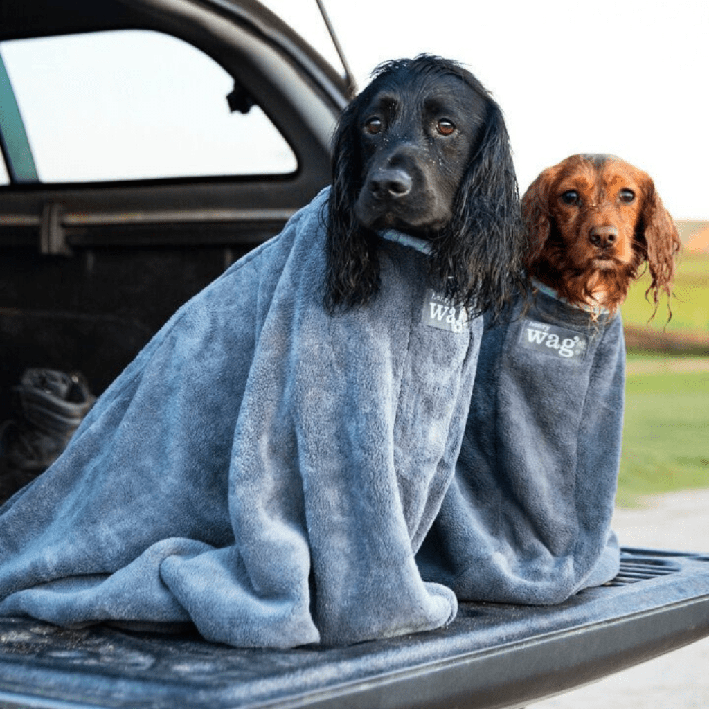 Camping & Hiking - useful bits - SnowPaw Store