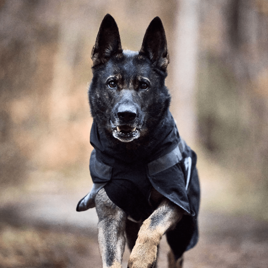 Dog Coats - High-Vis, Cooling Coats, Waterproof - to keep dogs