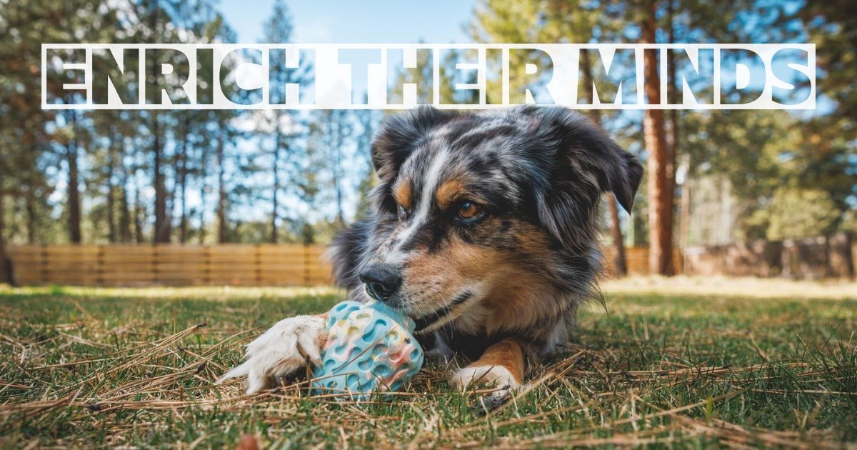 Dog Enrichment - SnowPaw Store