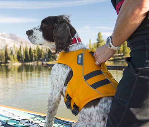 Dog Life Jackets - SnowPaw Store