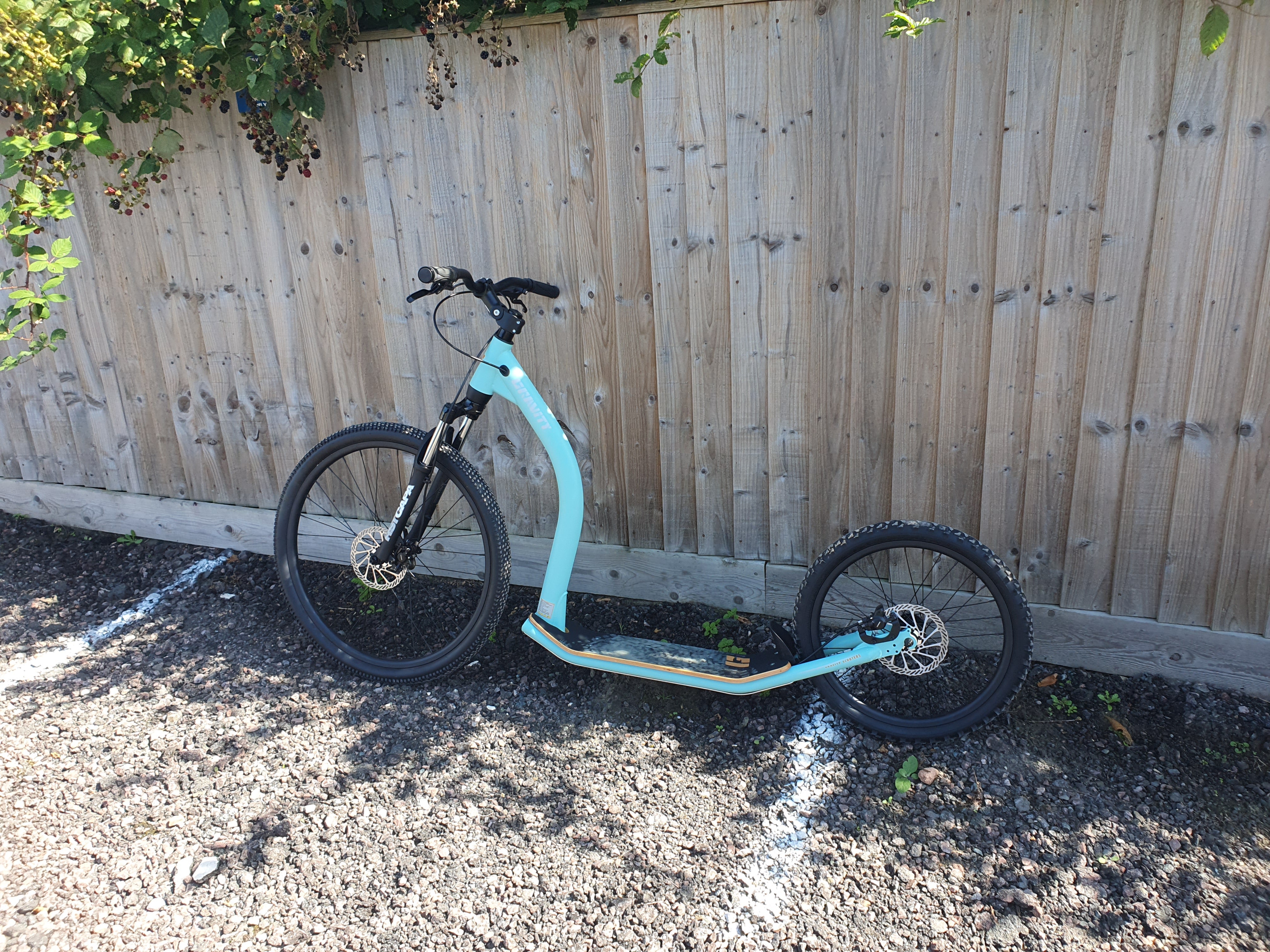 Dog Scooters - SnowPaw Store