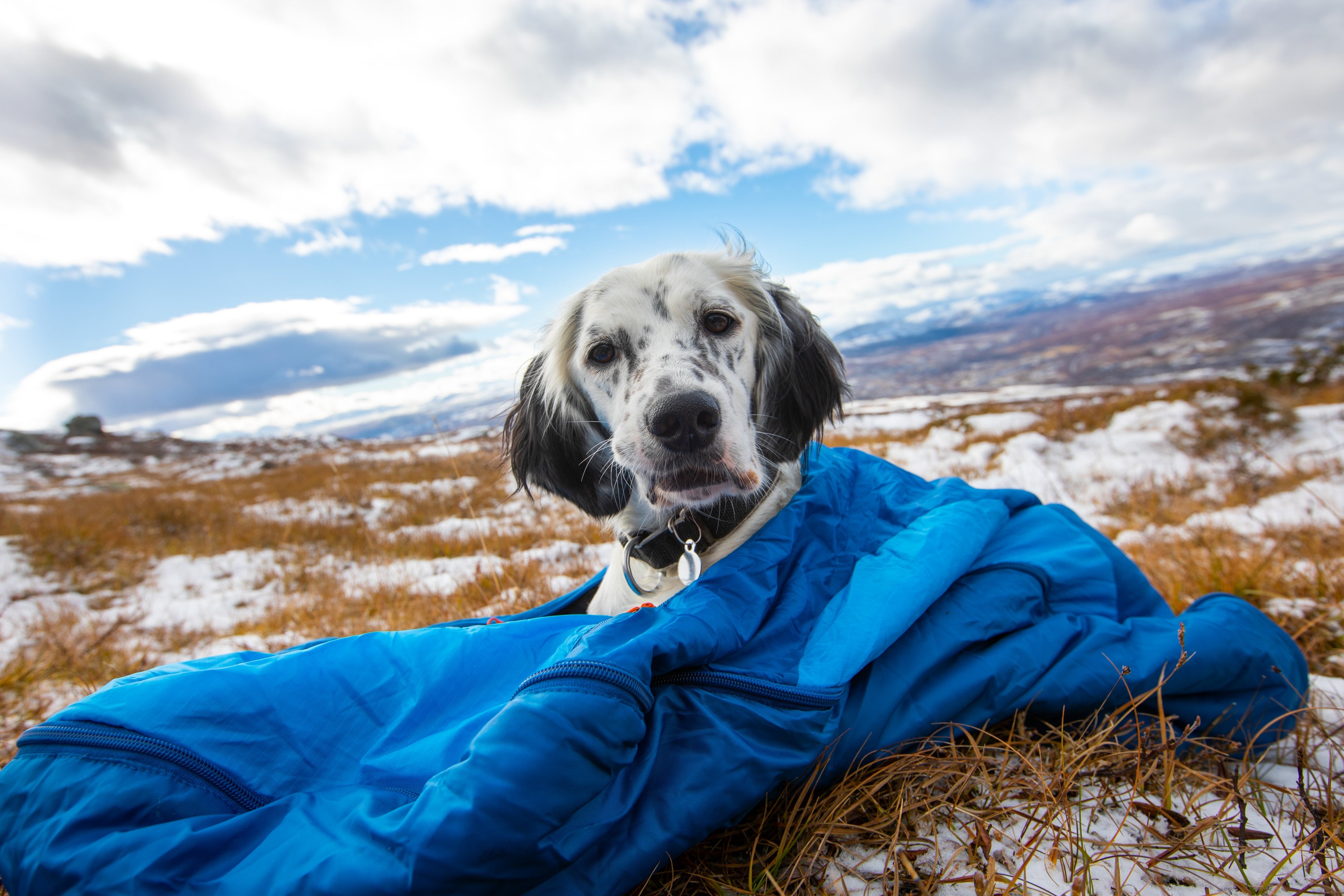 Dog Sleeping Mats and bags - SnowPaw Store