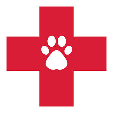 Dog Wound and Injury Care - SnowPaw Store